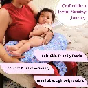 8.webp