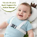 22135572b.webp