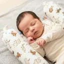 21567785h.webp